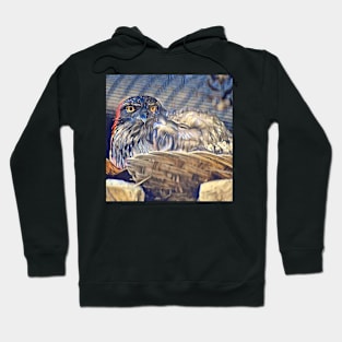 Tawny Frogmouth Hoodie